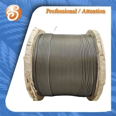 Tali hoist baja kawat stainless rope stainless rope 6x 19+ iwsc.